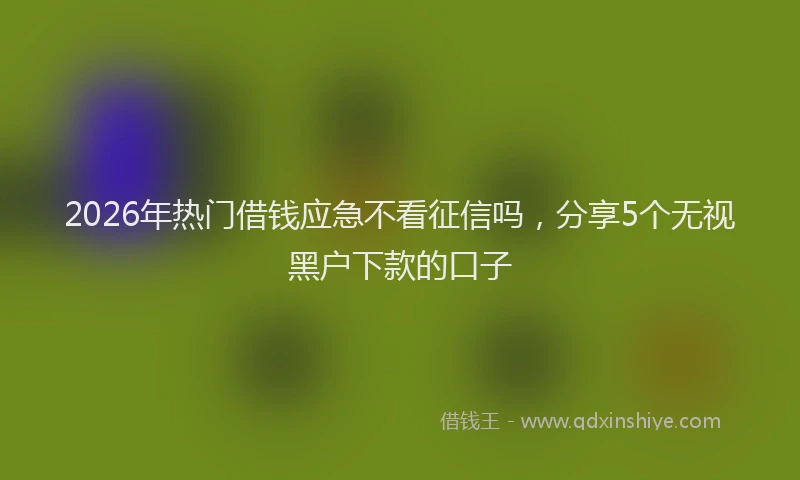 2026年热门借钱应急不看征信吗，分享5个无视黑户下款的口子