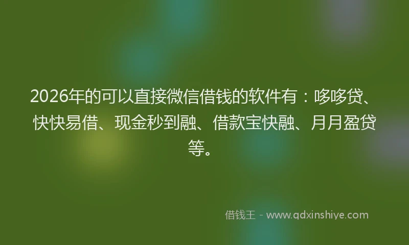 2026年的可以直接微信借钱的软件有：哆哆贷、快快易借、现金秒到融、借款宝快融、月月盈贷等。