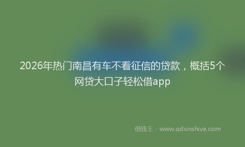 2026年热门南昌有车不看征信的贷款，概括5个网贷大口子轻松借app