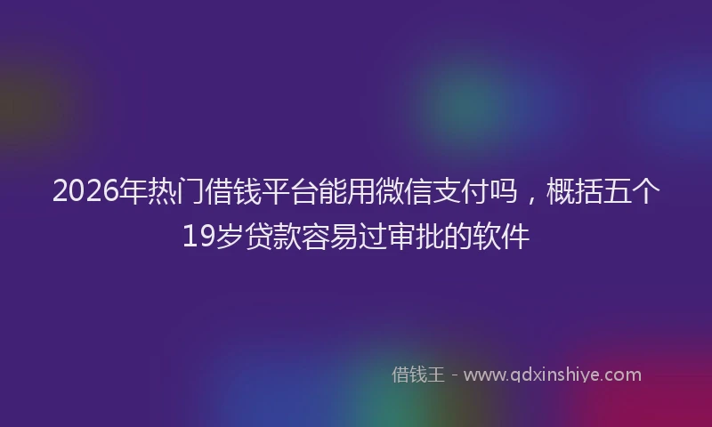 2026年热门借钱平台能用微信支付吗，概括五个19岁贷款容易过审批的软件