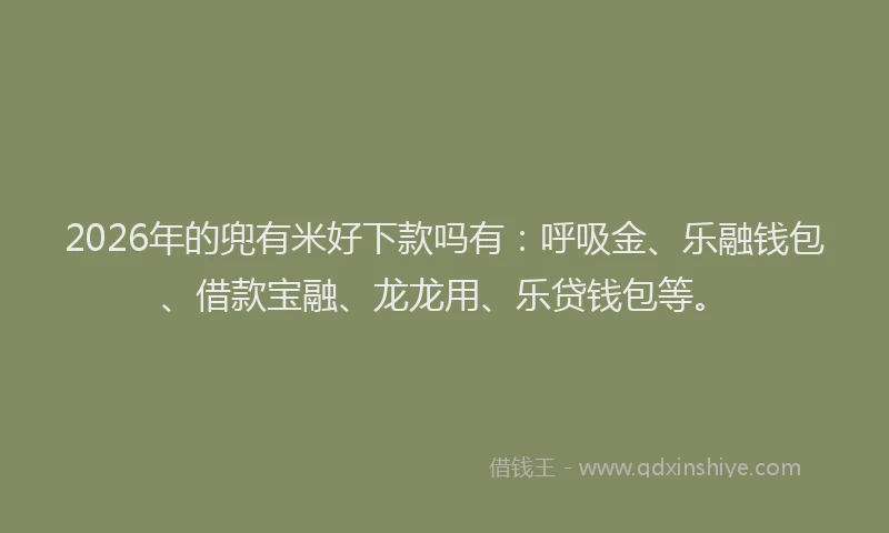 2026年的兜有米好下款吗有：呼吸金、乐融钱包、借款宝融、龙龙用、乐贷钱包等。