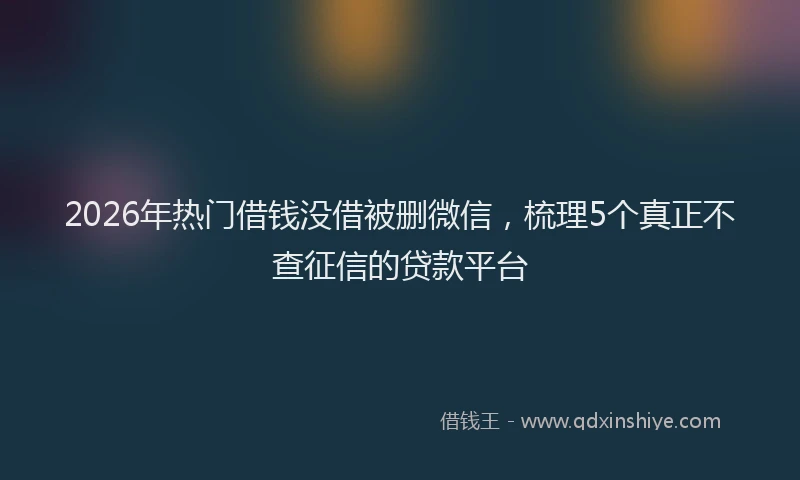 2026年热门借钱没借被删微信，梳理5个真正不查征信的贷款平台