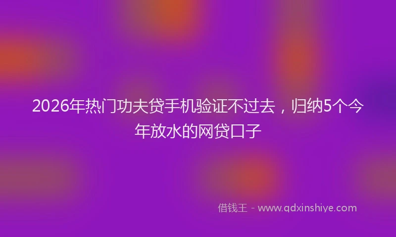 2026年热门功夫贷手机验证不过去，归纳5个今年放水的网贷口子
