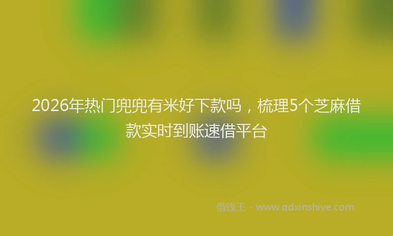 2026年热门兜兜有米好下款吗，梳理5个芝麻借款实时到账速借平台