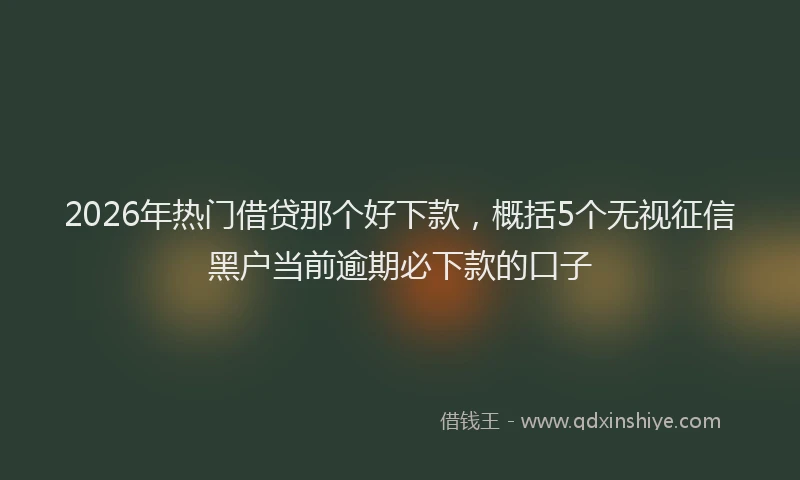 2026年热门借贷那个好下款，概括5个无视征信黑户当前逾期必下款的口子