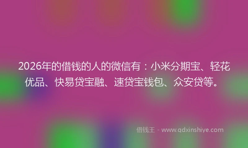 2026年的借钱的人的微信有：小米分期宝、轻花优品、快易贷宝融、速贷宝钱包、众安贷等。