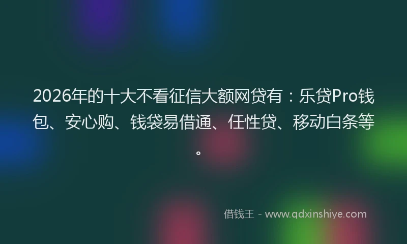2026年的十大不看征信大额网贷有：乐贷Pro钱包、安心购、钱袋易借通、任性贷、移动白条等。