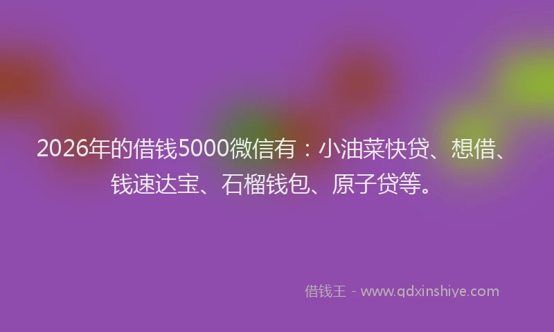 2026年的借钱5000微信有：小油菜快贷、想借、钱速达宝、石榴钱包、原子贷等。
