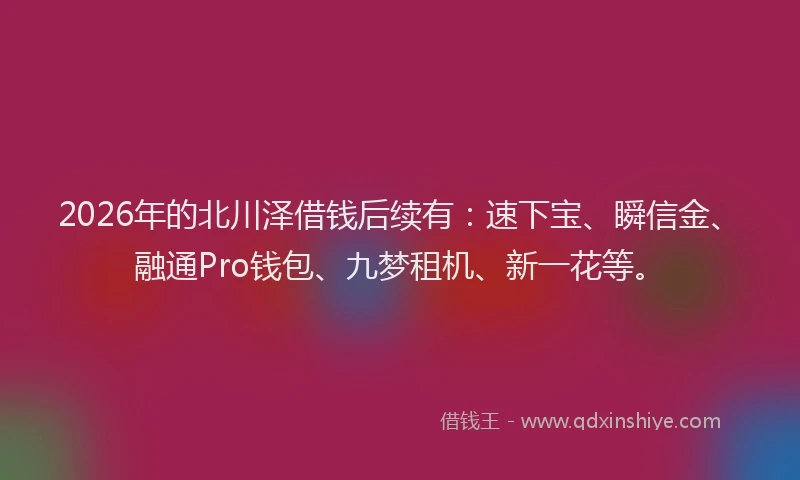 2026年的北川泽借钱后续有：速下宝、瞬信金、融通Pro钱包、九梦租机、新一花等。