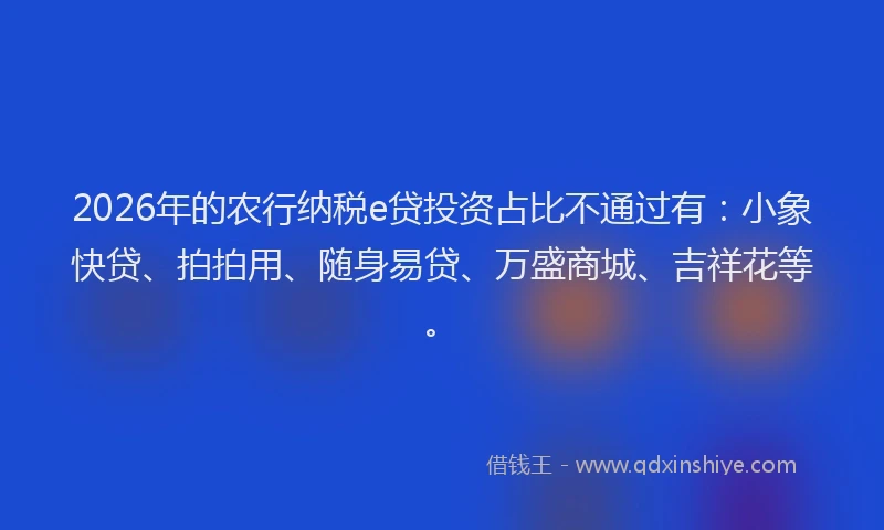 2026年的农行纳税e贷投资占比不通过有：小象快贷、拍拍用、随身易贷、万盛商城、吉祥花等。