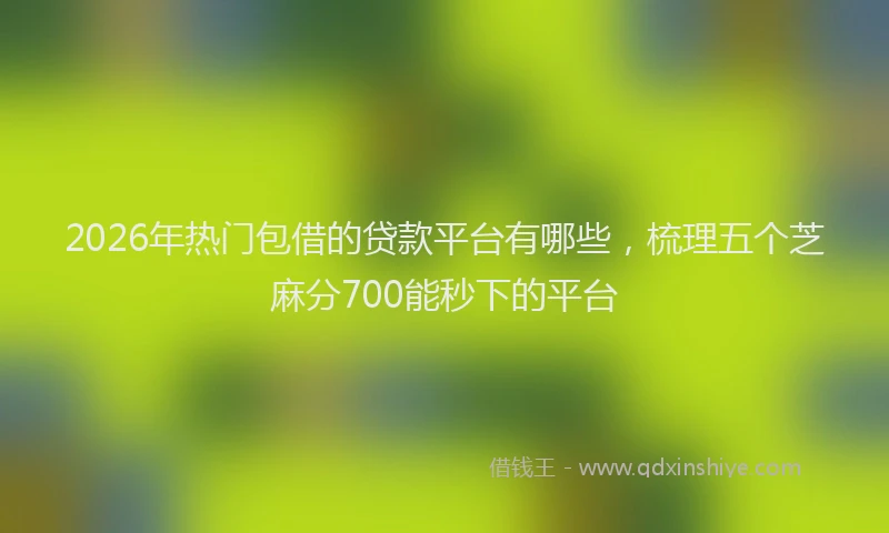 2026年热门包借的贷款平台有哪些，梳理五个芝麻分700能秒下的平台