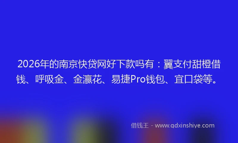 2026年的南京快贷网好下款吗有：翼支付甜橙借钱、呼吸金、金瀛花、易捷Pro钱包、宜口袋等。