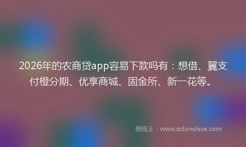 2026年的农商贷app容易下款吗有：想借、翼支付橙分期、优享商城、固金所、新一花等。