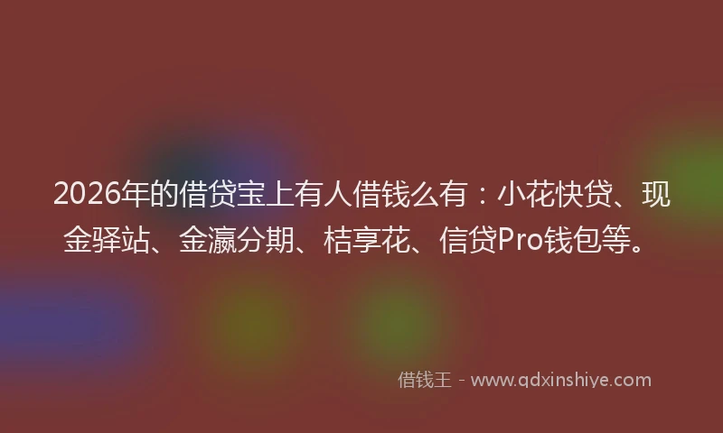 2026年的借贷宝上有人借钱么有：小花快贷、现金驿站、金瀛分期、桔享花、信贷Pro钱包等。