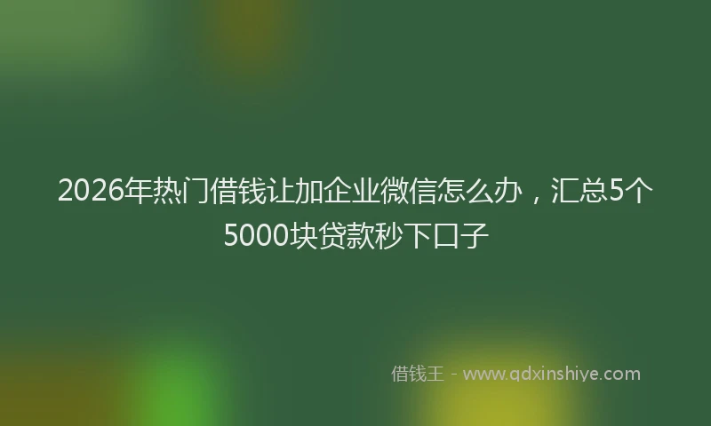 2026年热门借钱让加企业微信怎么办，汇总5个5000块贷款秒下口子