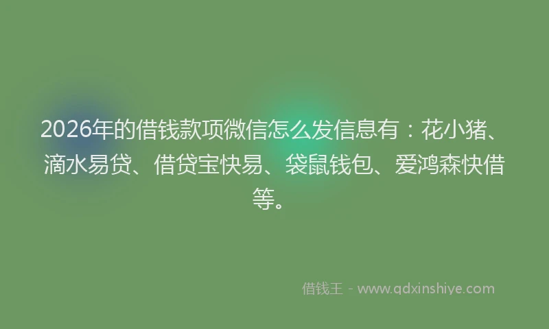 2026年的借钱款项微信怎么发信息有：花小猪、滴水易贷、借贷宝快易、袋鼠钱包、爱鸿森快借等。
