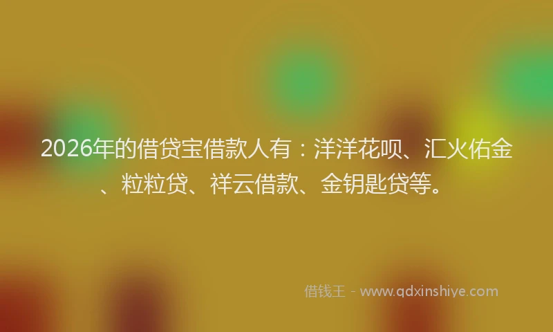 2026年的借贷宝借款人有：洋洋花呗、汇火佑金、粒粒贷、祥云借款、金钥匙贷等。