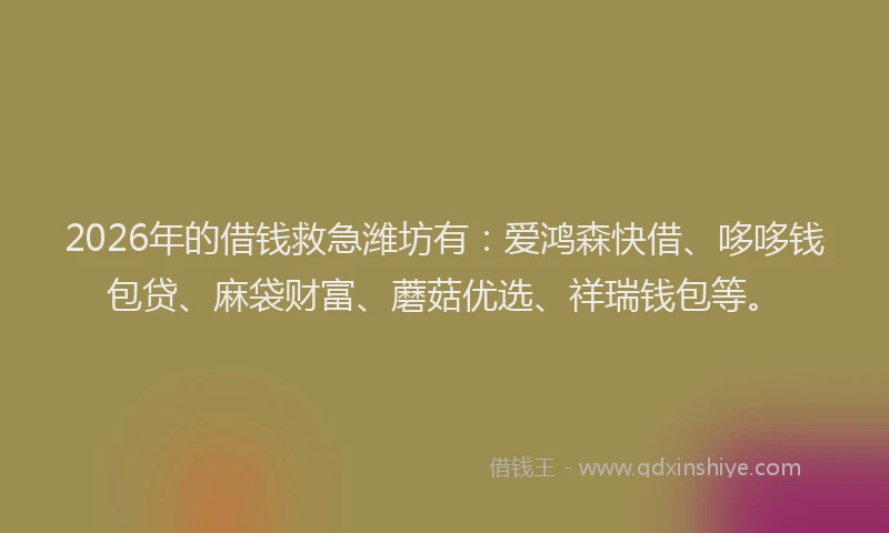 2026年的借钱救急潍坊有：爱鸿森快借、哆哆钱包贷、麻袋财富、蘑菇优选、祥瑞钱包等。