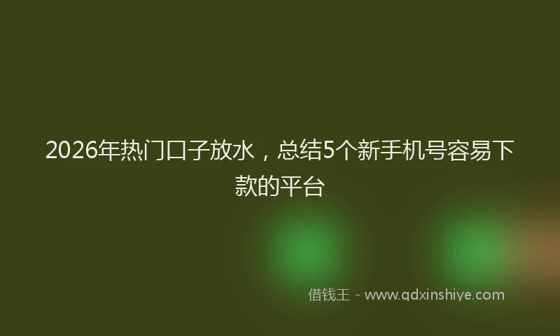 2026年热门口子放水，总结5个新手机号容易下款的平台