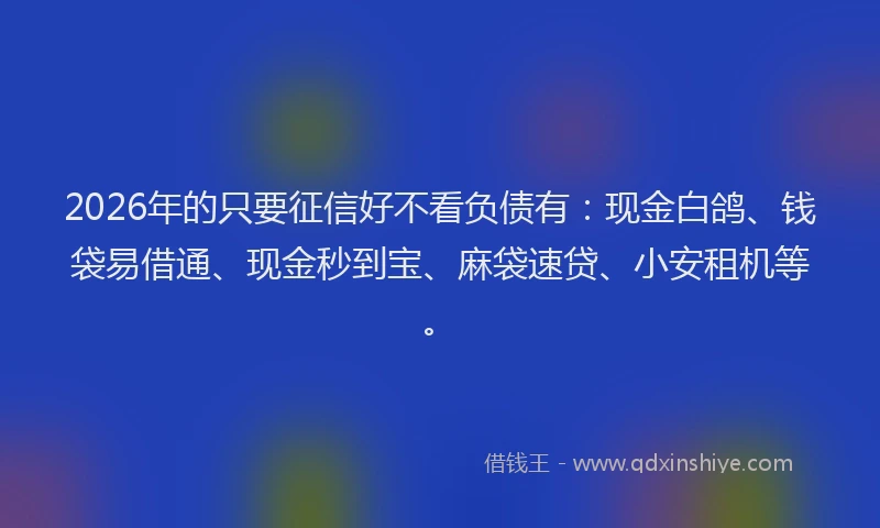 2026年的只要征信好不看负债有：现金白鸽、钱袋易借通、现金秒到宝、麻袋速贷、小安租机等。