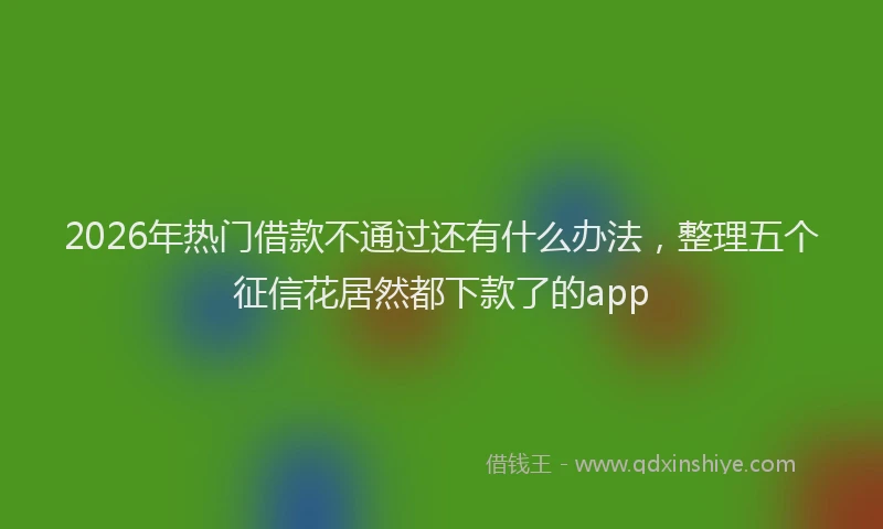2026年热门借款不通过还有什么办法，整理五个征信花居然都下款了的app