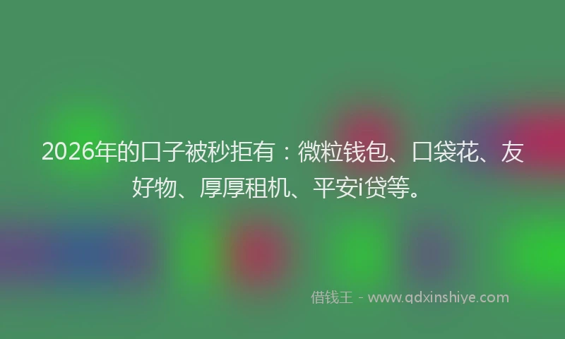 2026年的口子被秒拒有：微粒钱包、口袋花、友好物、厚厚租机、平安i贷等。