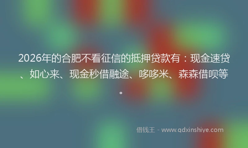 2026年的合肥不看征信的抵押贷款有：现金速贷、如心来、现金秒借融途、哆哆米、森森借呗等。