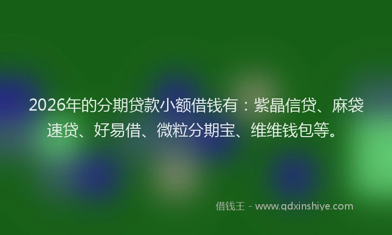 2026年的分期贷款小额借钱有：紫晶信贷、麻袋速贷、好易借、微粒分期宝、维维钱包等。