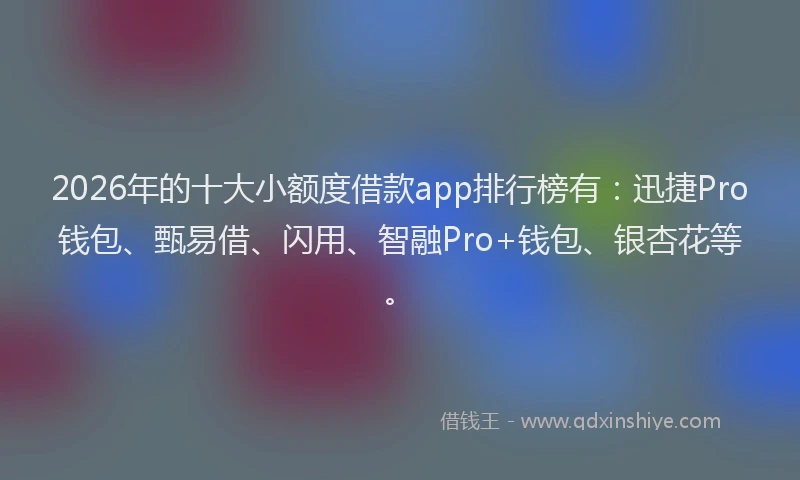 2026年的十大小额度借款app排行榜有：迅捷Pro钱包、甄易借、闪用、智融Pro+钱包、银杏花等。