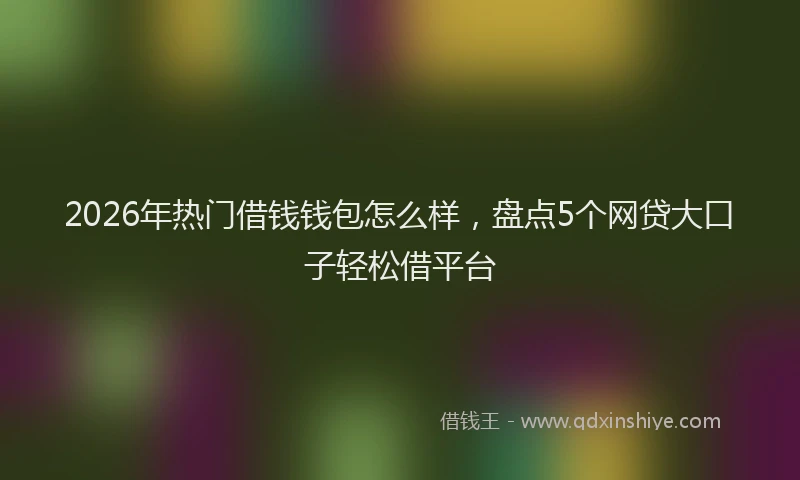2026年热门借钱钱包怎么样，盘点5个网贷大口子轻松借平台