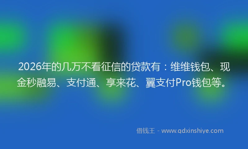 2026年的几万不看征信的贷款有：维维钱包、现金秒融易、支付通、享来花、翼支付Pro钱包等。