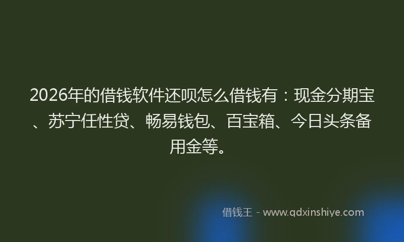 2026年的借钱软件还呗怎么借钱有：现金分期宝、苏宁任性贷、畅易钱包、百宝箱、今日头条备用金等。