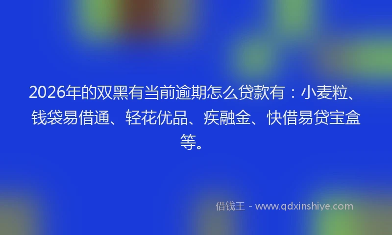 2026年的双黑有当前逾期怎么贷款有：小麦粒、钱袋易借通、轻花优品、疾融金、快借易贷宝盒等。