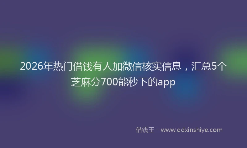 2026年热门借钱有人加微信核实信息，汇总5个芝麻分700能秒下的app