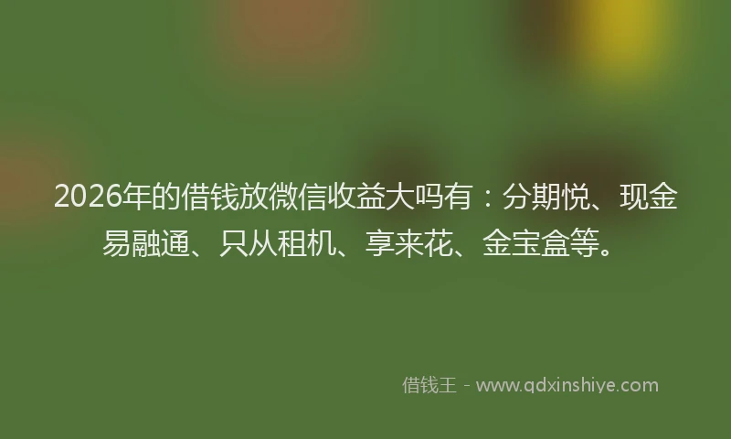2026年的借钱放微信收益大吗有：分期悦、现金易融通、只从租机、享来花、金宝盒等。