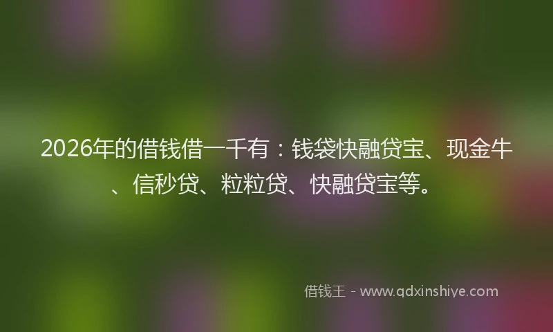 2026年的借钱借一千有：钱袋快融贷宝、现金牛、信秒贷、粒粒贷、快融贷宝等。