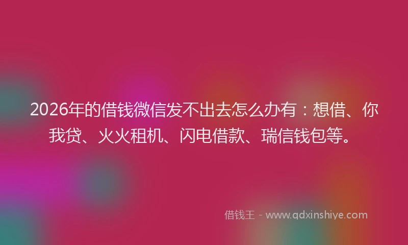2026年的借钱微信发不出去怎么办有：想借、你我贷、火火租机、闪电借款、瑞信钱包等。