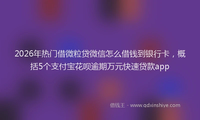 2026年热门借微粒贷微信怎么借钱到银行卡，概括5个支付宝花呗逾期万元快速贷款app