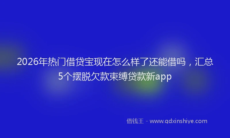 2026年热门借贷宝现在怎么样了还能借吗，汇总5个摆脱欠款束缚贷款新app