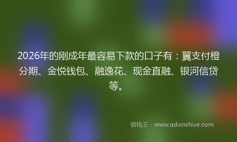 2026年的刚成年最容易下款的口子有：翼支付橙分期、金悦钱包、融逸花、现金直融、银河信贷等。