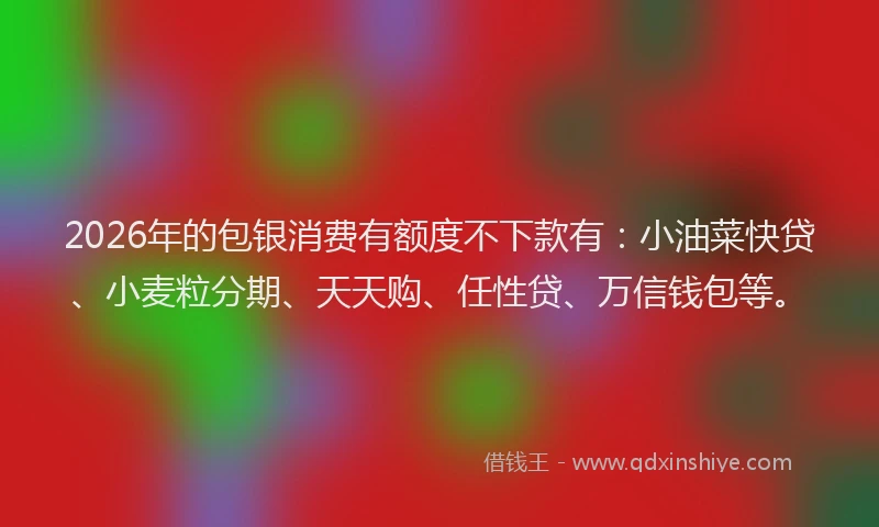 2026年的包银消费有额度不下款有：小油菜快贷、小麦粒分期、天天购、任性贷、万信钱包等。