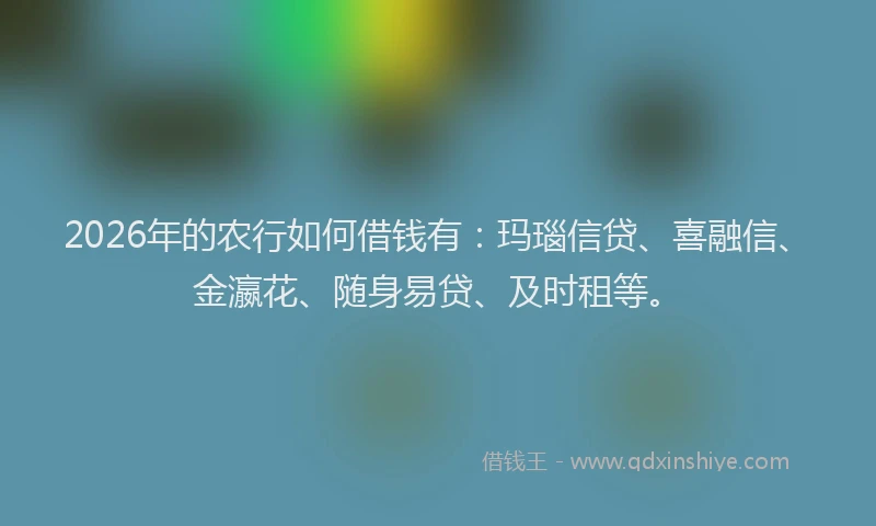 2026年的农行如何借钱有：玛瑙信贷、喜融信、金瀛花、随身易贷、及时租等。