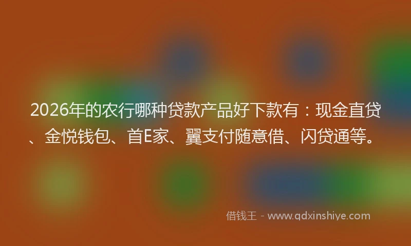 2026年的农行哪种贷款产品好下款有：现金直贷、金悦钱包、首E家、翼支付随意借、闪贷通等。
