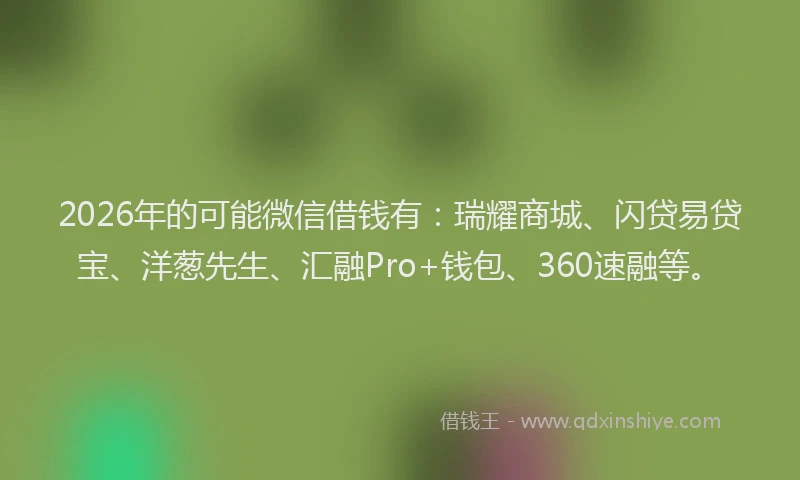 2026年的可能微信借钱有：瑞耀商城、闪贷易贷宝、洋葱先生、汇融Pro+钱包、360速融等。