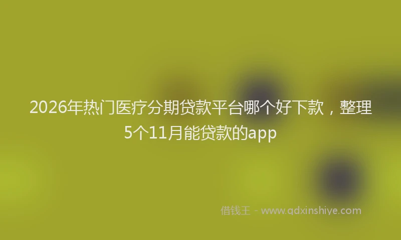 2026年热门医疗分期贷款平台哪个好下款，整理5个11月能贷款的app