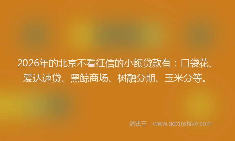 2026年的北京不看征信的小额贷款有：口袋花、爱达速贷、黑鲸商场、树融分期、玉米分等。