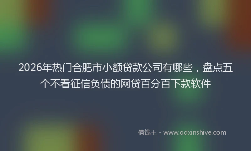 2026年热门合肥市小额贷款公司有哪些，盘点五个不看征信负债的网贷百分百下款软件