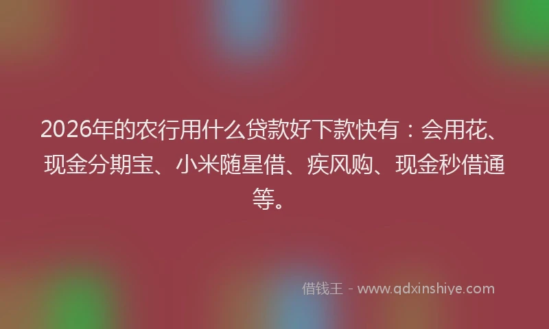 2026年的农行用什么贷款好下款快有：会用花、现金分期宝、小米随星借、疾风购、现金秒借通等。