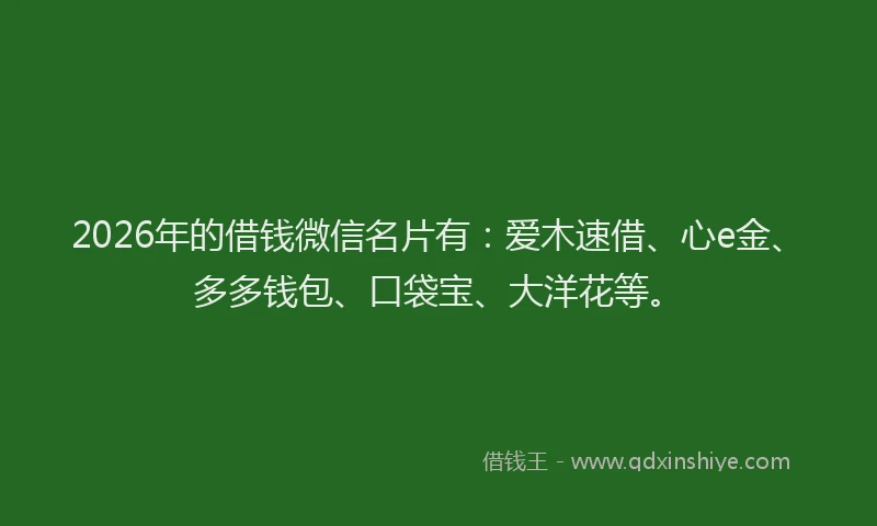 2026年的借钱微信名片有：爱木速借、心e金、多多钱包、口袋宝、大洋花等。
