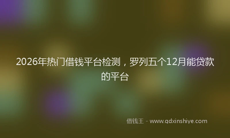 2026年热门借钱平台检测，罗列五个12月能贷款的平台